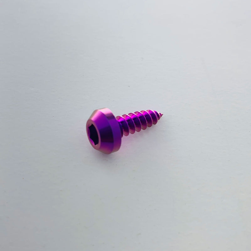 Load image into Gallery viewer, Titanium Tapered Head Screw - Individual