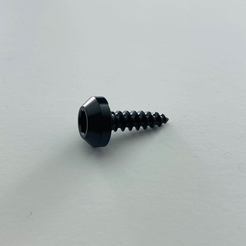 Load image into Gallery viewer, Titanium Tapered Head Screw - Individual
