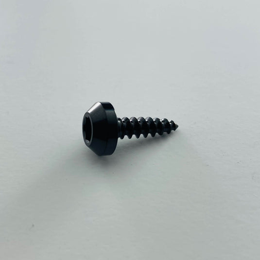 Titanium Tapered Head Screw - Individual