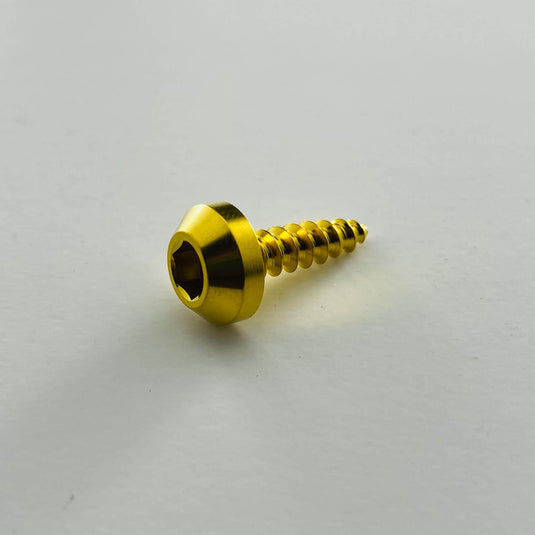 Titanium Tapered Head Screw - Individual