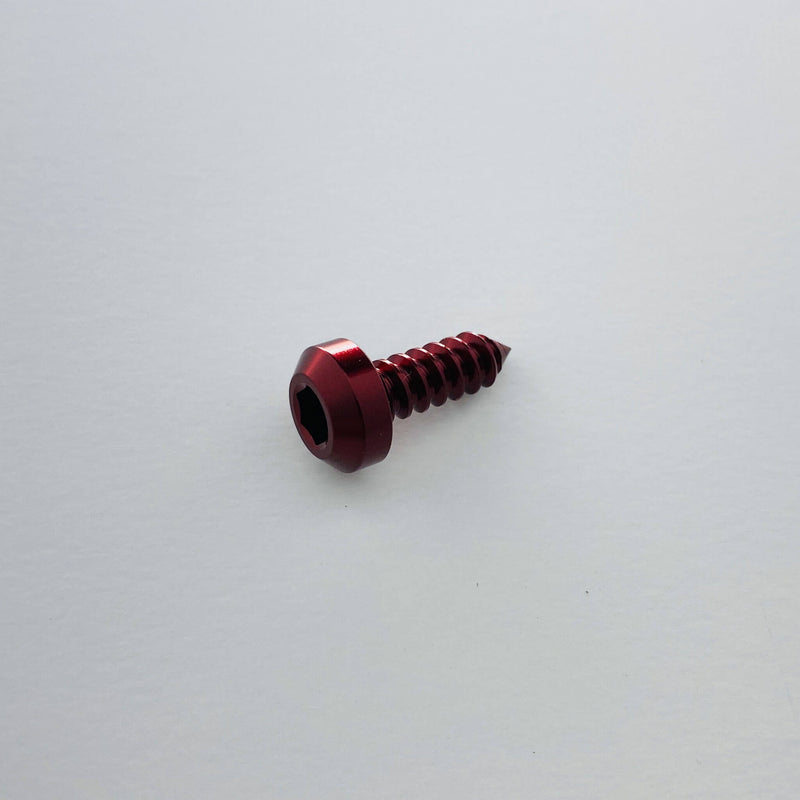 Load image into Gallery viewer, Titanium Tapered Head Screw - Individual